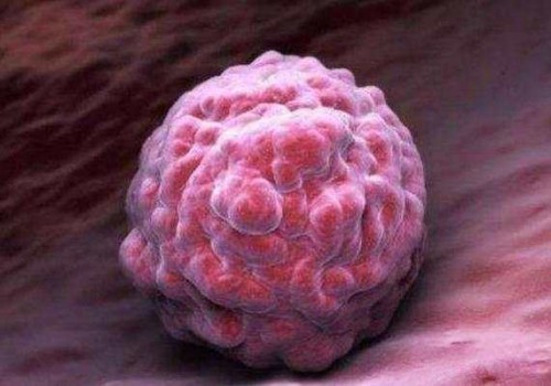 天津供精代生：﻿抗精子抗体阳性能做试管吗,选择几代试管听从医生的建议