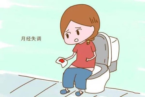 天津代怀：﻿解析孕妇卵黄囊正常值范围