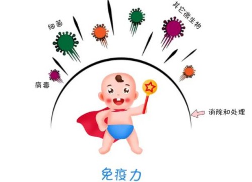 天津试管机构包男孩：﻿小苏打加尿测男女方法可信吗,科学原理分析告诉你