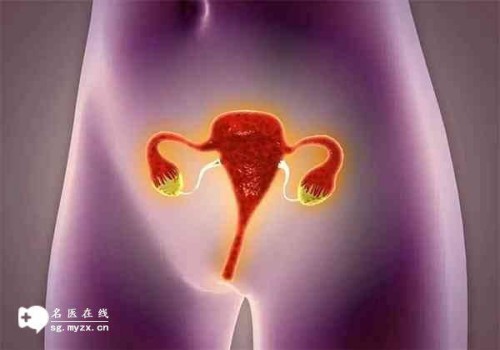天津供卵试管：﻿Nt0.13胎心150能否猜出宝宝男女？这个方法非常准