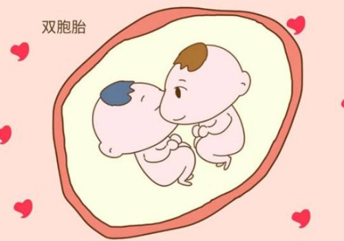 天津代怀生男孩机构：﻿囊胚等级划分，谁好谁怀一分钟了解
